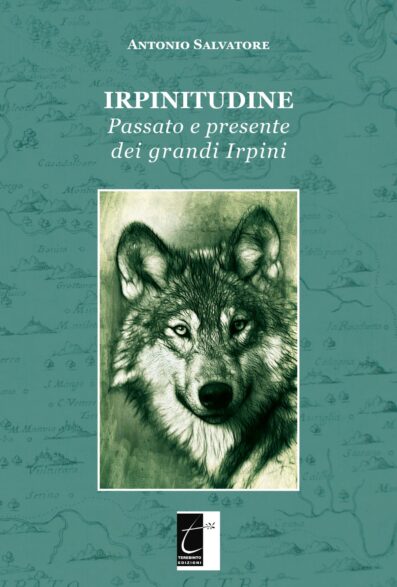 IRPINITUDINE